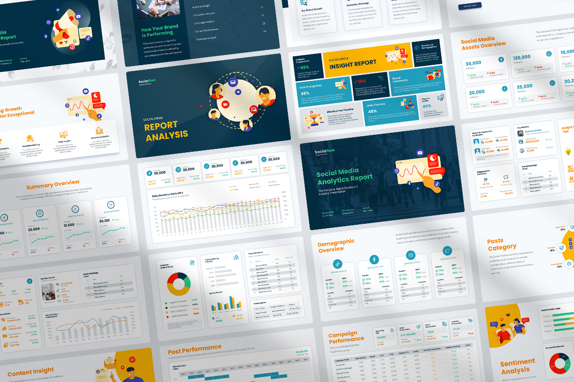 Socializee - Social Media Analytics Report Presentation Screen 2