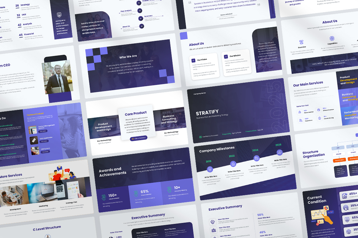 Stratify - Business and Marketing Plan Presentation Screen 2